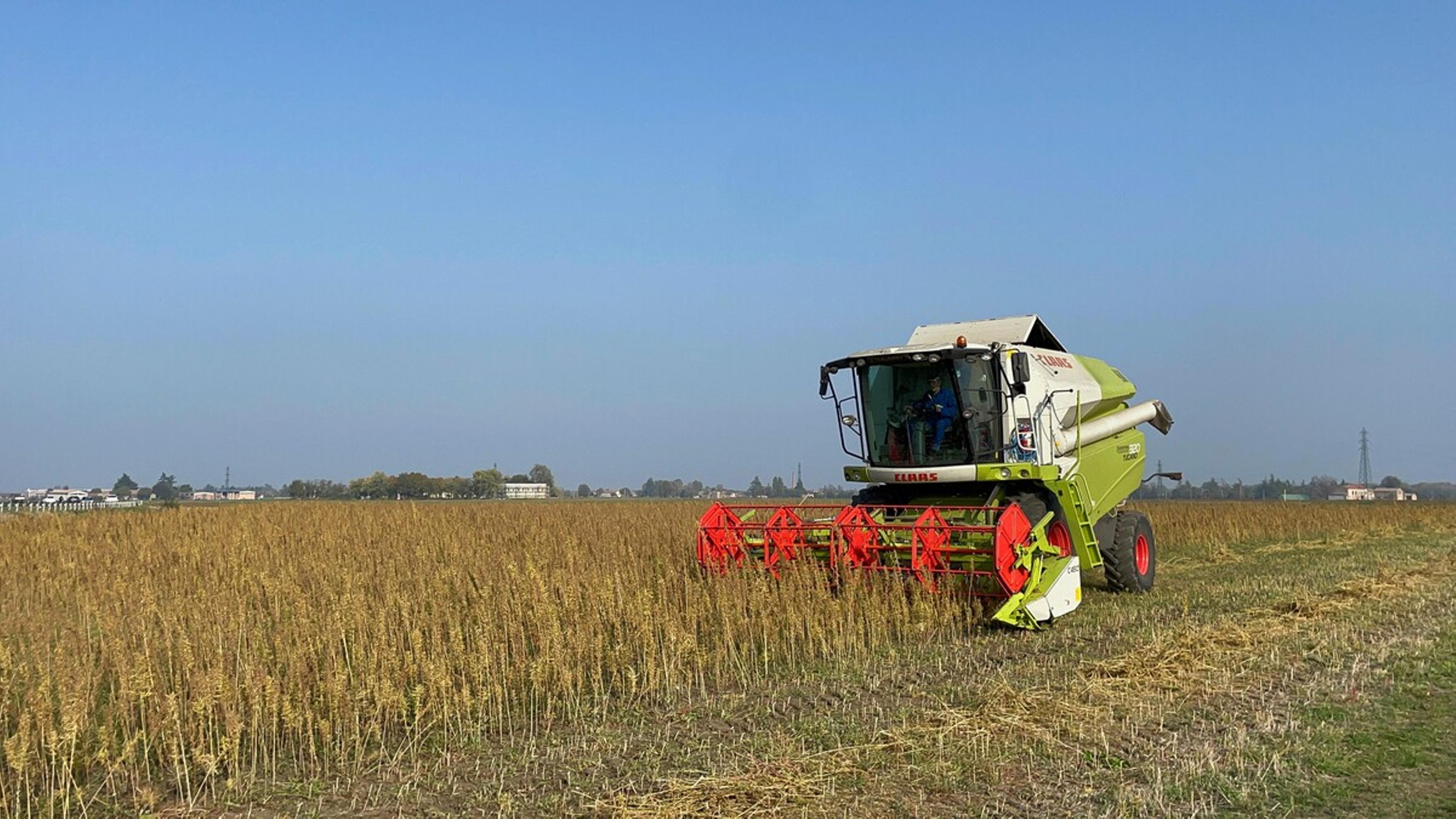 Assicurare una produzione in grado di adempiere alle esigenze industriali